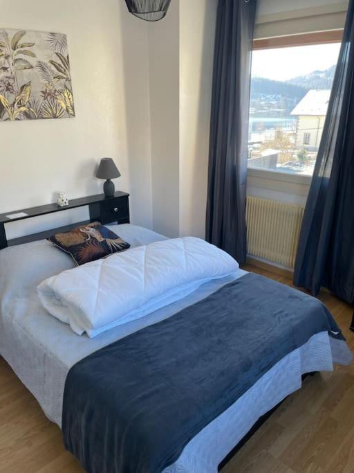 Entre Lac Et Montagne 4/6 Personnes 热拉梅 外观 照片